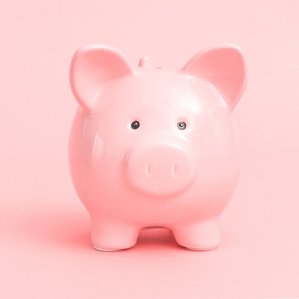 pink piggy bank